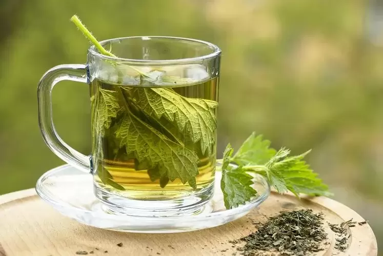 decoction of herbs for a drinkable diet